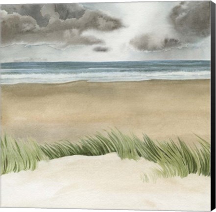 Framed Dune Views I Print