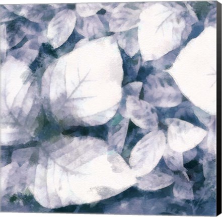 Framed Blue Shaded Leaves II Print