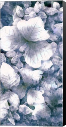 Framed Blue Shaded Leaves V Print