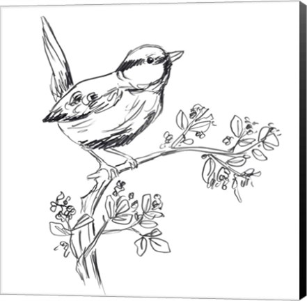 Framed Simple Songbird Sketches IV Print