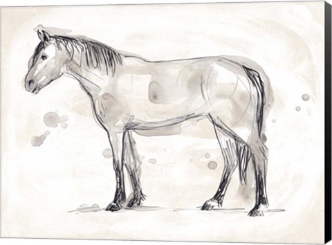 Framed Vintage Equine Sketch I Print