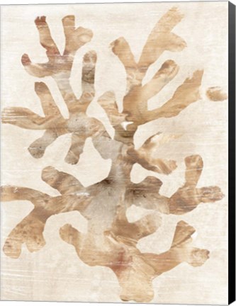 Framed Parchment Coral I Print