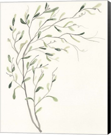 Framed Spindle Sprig II Print