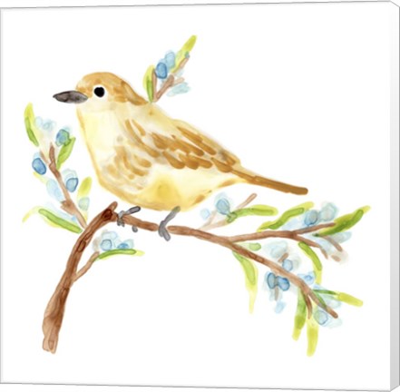Framed Springtime Songbirds II Print
