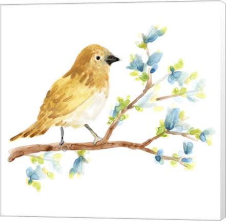 Framed Springtime Songbirds III Print