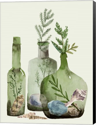 Framed Ocean in a Bottle II Print
