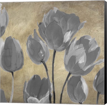 Framed Grey Tulips II Print