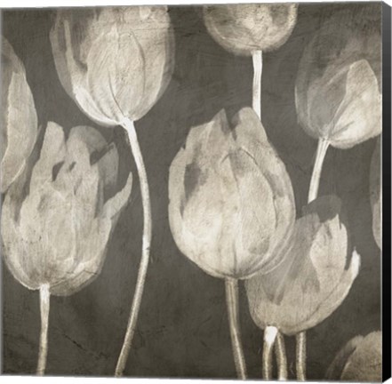 Framed Washed Tulips I Print