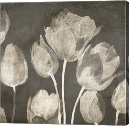 Framed Washed Tulips II Print