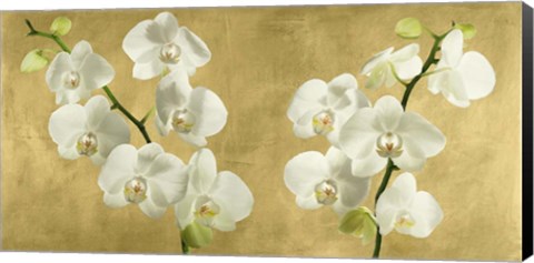 Framed Orchids on a Golden Background Print