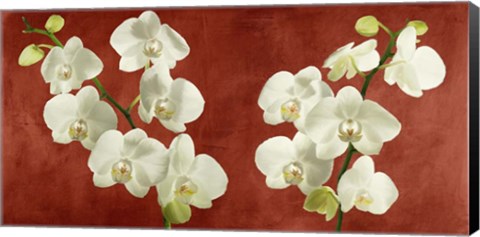 Framed Orchids on Red Background Print