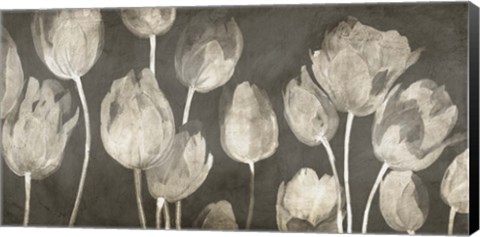 Framed Washed Tulips Print