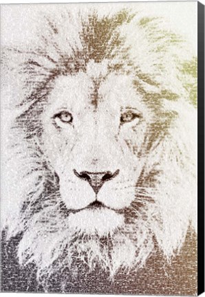 Framed Lion Print