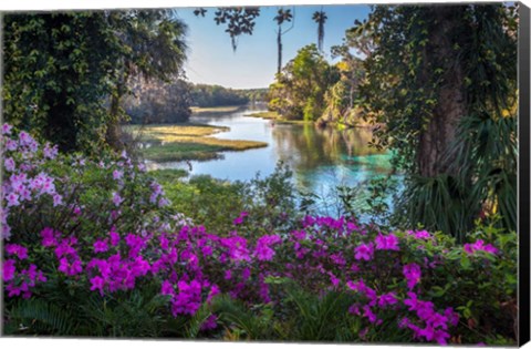 Framed Rainbow Springs Print