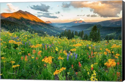 Framed Wash Gulch Wild Print