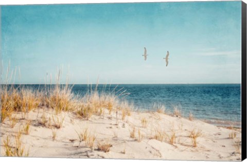 Framed Beach &amp; Gulls Print