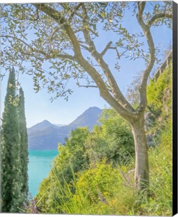 Framed Lago di Como View No. 2 Print