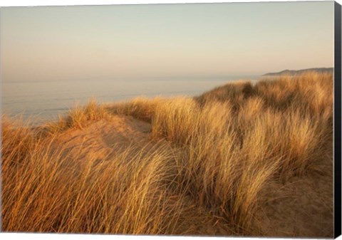 Framed Dunes with Seagulls 7 Print