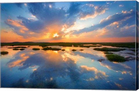 Framed Plum Island Print