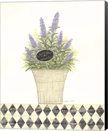 Framed Lavender Serenity Print