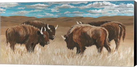 Framed Bison Herd II Print