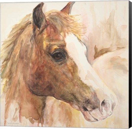 Framed Watercolor Horse Print