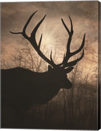 Framed Elk Sunrise I Print