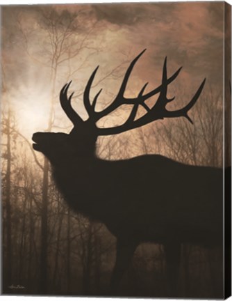 Framed Elk Sunrise II Print