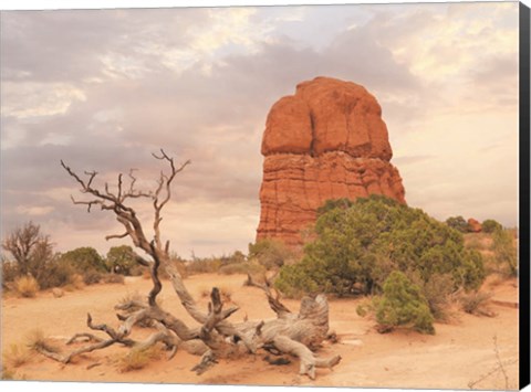 Framed Dusty Desert I Print