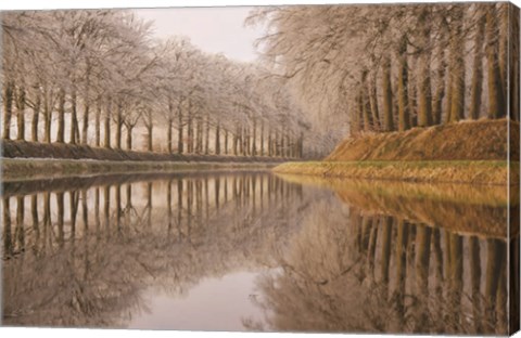 Framed Frosty Reflections Print