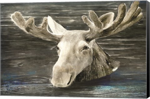 Framed Lake Moose Print