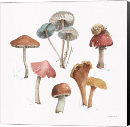 Framed Mushroom Medley 02 Print