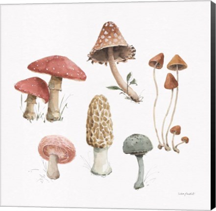 Framed Mushroom Medley 03 Print