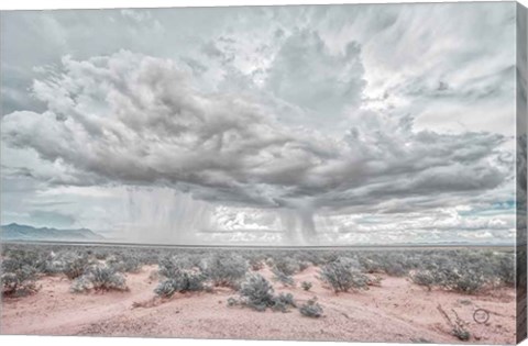 Framed New Mexico Rain Print