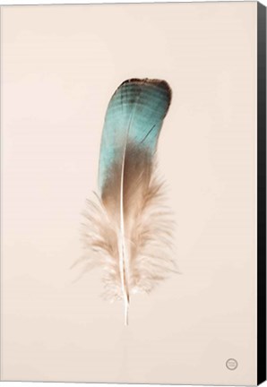 Framed Floating Feathers IV Print
