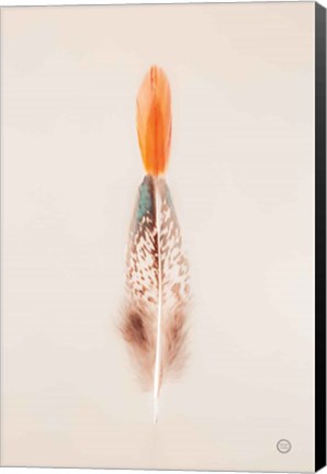 Framed Floating Feathers I Print