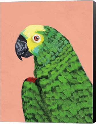 Framed Parrot Head Print