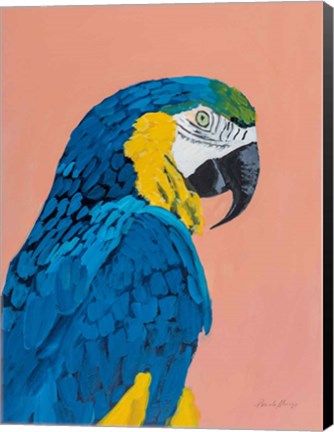 Framed Blue and Gold Macaw Print