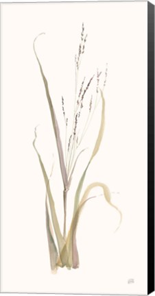 Framed Moor Grass Print