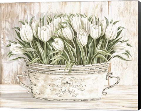 Framed Tulips in White Chipped Pail Print