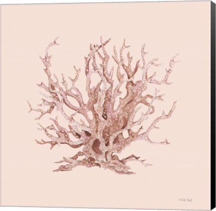 Framed Pink Coral I Print