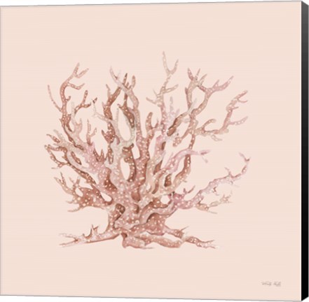 Framed Pink Coral II Print