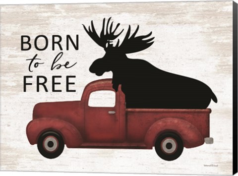 Framed Born to be Free Moose Print