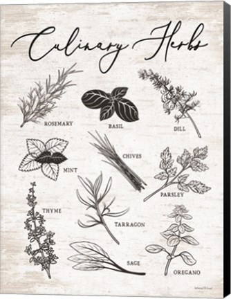 Framed Culinary Herbs Print