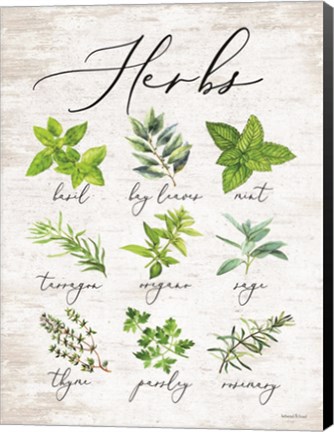 Framed Herbs Print