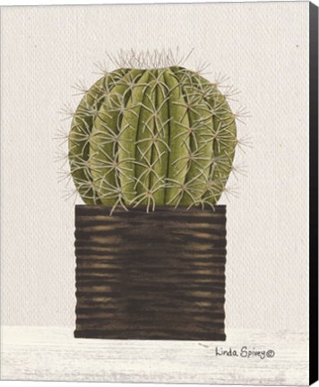 Framed Potted Cactus Print