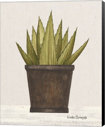 Framed Potted Aloe Vera Print