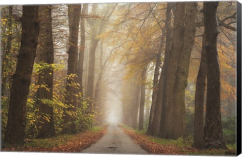 Framed Autumnal Moodiness Print