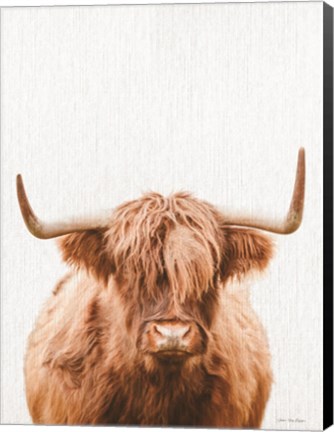 Framed Cow Portrait Print