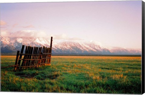 Framed Fence In Jackson Print